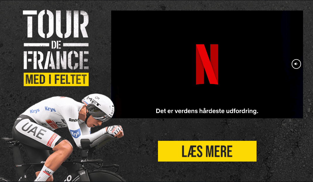 Netflix project image